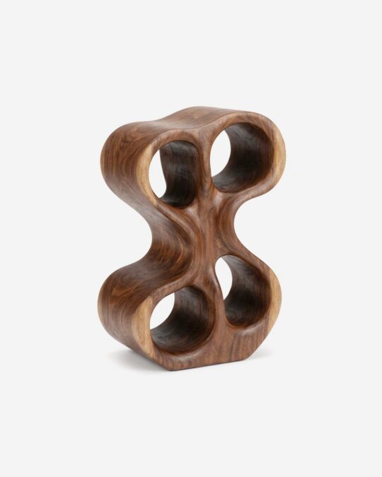 Organic Loop Sculpture